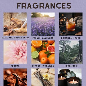 a collage of nine different scents, including floral, citrus, tequila, oak moss, sandalwood, vanilla, and no fragrance.