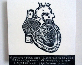 The Knowing Heart, Relief Print on Wood Panel, encaustic, anatomical heart, latin text, hand pulled print, original art
