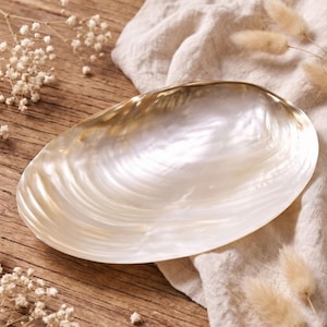 Può includere: Un piatto di forma ovale realizzato in madreperla iridescente. La superficie presenta una finitura liscia e lucida con toni naturali bianco perla e crema, che mettono in risalto la consistenza organica e ondulata del materiale.