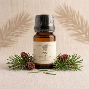 Puede incluir: Un frasco pequeño de vidrio ámbar de aceite esencial de pino con tapa negra. La etiqueta color crema presenta un dibujo lineal de una piña y el texto PINE ESSENTIAL OIL. El frasco está rodeado de agujas de pino verdes y dos piñas pequeñas.