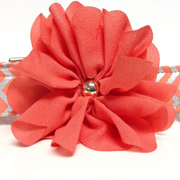 Dog Collar- The Chevron Coral