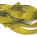 Dusty Olive Vintage Hug Snug (3 Yards) 1/2" Seam Binding