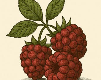 Raspberry Syrup — 8 oz Small-Batch Gourmet Fruit Syrup for Lemonade, Cocktails & Tea | Artisan