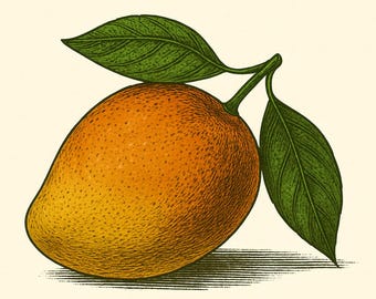 Mango Syrup – 8 oz Small-Batch Gourmet Tropical Syrup for Lemonade, Cocktails, Mocktails & Tea | Artisan