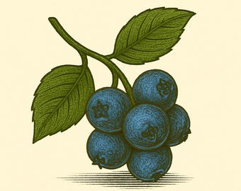 Blueberry Syrup – 8 oz Small-Batch Gourmet Fruit Syrup for Lemonade, Cocktails, Mocktails & Tea | Artisan