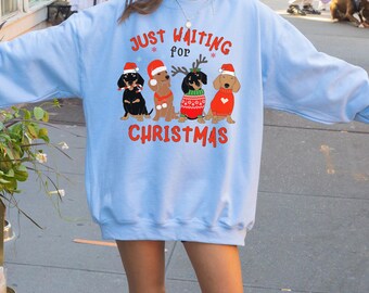 Funny Christmas Dachshund Dog Shirt/Sweatshirt/Hoodie for Adults and Kids, Christmas Pet Lover Tee, Dachshund Lovers T-Shirt, Dachshund Gift