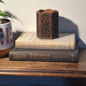 Peut inclure: Une nature morte avec une plante en pot, des livres et un récipient en bois sculpté. La plante est dans un pot en céramique avec un motif blanc et orange. Deux livres sont empilés sous un récipient en bois sculpté. Un petit cristal de quartz rose est posé sur la table.