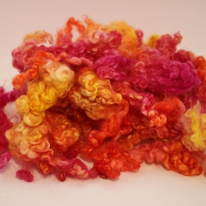Wool Locks from Local Western NC sheep, Sorbet hand dyed locks for spinning yarn, accents to add in fiber arts, great for felting, 2 oz