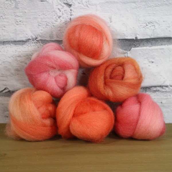 Wooly Buns in Ruby Red Grapefruit, wool roving assortment, 6 piece hand dyed fiber, needle felting supplies, 1.5 oz red and pink roving