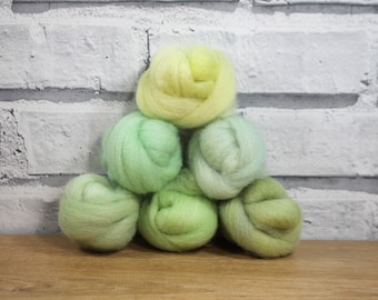 Wooly Buns roving in Fresh Greens, fiber sampler, assortment, needle felt supplies 1.5 oz 6 piece wool roving collection, green ombre shade