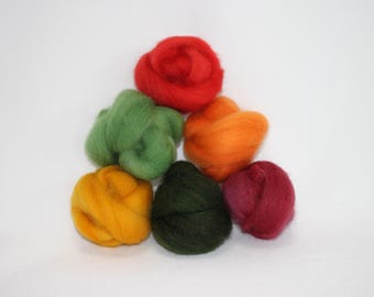 May include: A collection of colorful wool roving in shades of red, green, orange, yellow, dark green, and burgundy. The wool is arranged in small, rounded bundles, ideal for fiber art projects.