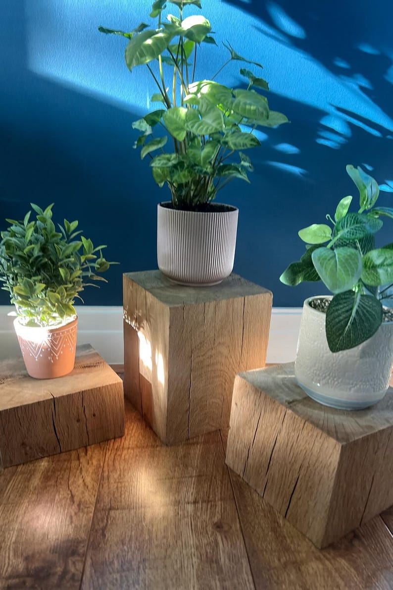 May include: Three potted plants on wooden block stands. The plants have green foliage and are in decorative pots. The stands are made of natural wood and have a rustic appearance. The background is a solid blue wall.