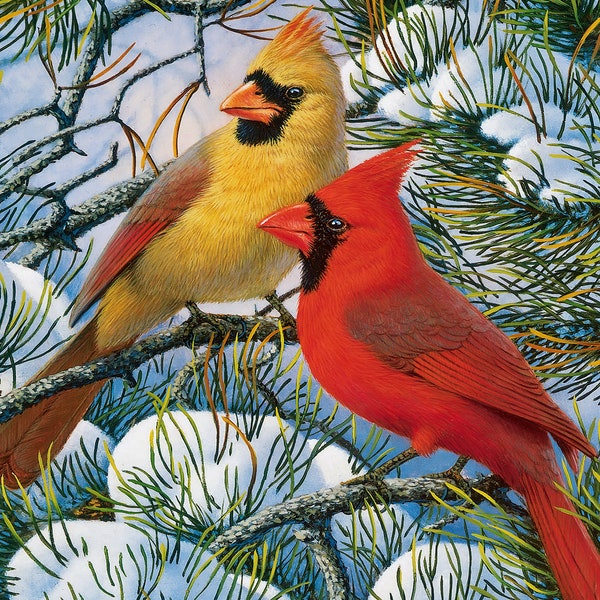 Needlepoint Canvas 14 or 18 count, Red Bird, Cardinal, By Lori Everett