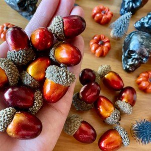 Puede incluir: Una mano sosteniendo una variedad de bellotas con tem&aacute;tica oto&ntilde;al. Las bellotas son de tonos rojos, naranjas y marrones. Algunas de las bellotas tienen un acabado brillante y met&aacute;lico.