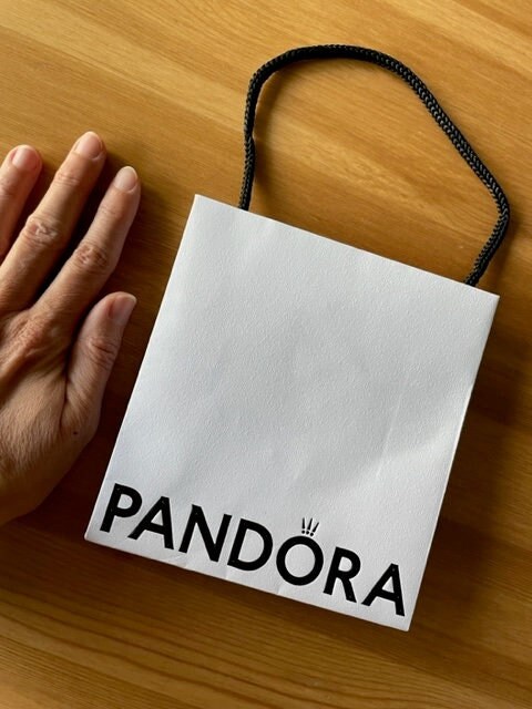 Pandora jewelry bags hotsell