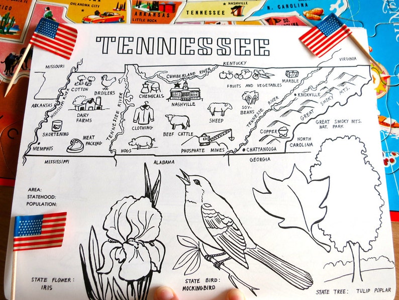 819 Cartoon Coloring Pages Of Tennessee for Kids