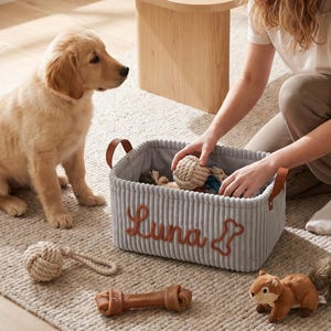 May include: A rectangular grey corduroy storage basket with brown leather handles, featuring the embroidered name Luna and a bone icon in rust-colored thread. The basket contains rope toys, with additional rope and plush toys nearby.