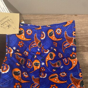 Florida Gators Paisley Bowl Cozie image 2