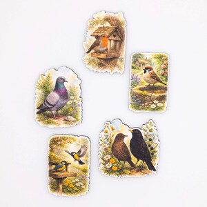 Garden Bird Magnet Set - Wood Fridge Magnets Illustrated Birds - Nature Gift for Bird Lovers - Handmade in Belgium by Flowz image 4