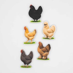 Chicken Breed Magnet Set | Silkie Brahma Hen Wood Fridge Magnets | Farmhouse Kitchen Decor | Poultry Lover Gift | Belgium Handmade image 4