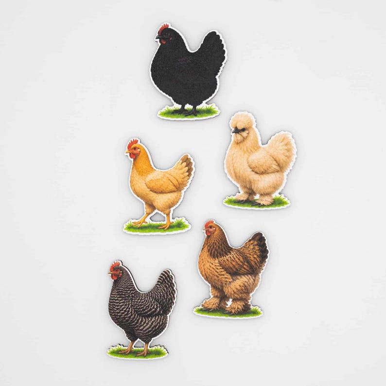 Chicken Breed Magnet Set | Silkie Brahma Hen Wood Fridge Magnets | Farmhouse Kitchen Decor | Poultry Lover Gift | Belgium Handmade image 4