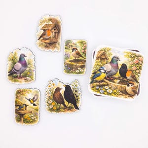 Garden Bird Magnet Set - Wood Fridge Magnets Illustrated Birds - Nature Gift for Bird Lovers - Handmade in Belgium by Flowz image 1