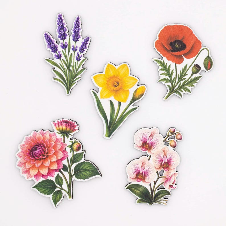 Flower Magnet Set, Wood Fridge Magnets with Botanical Print, Floral Kitchen Decor, Small Gift, Handmade in Belgium image 4