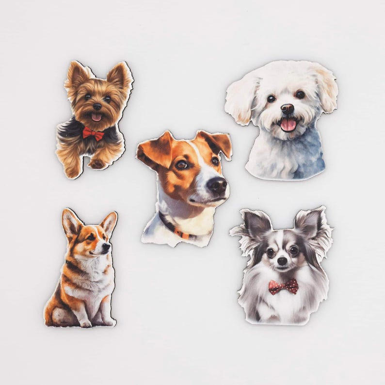 Small Dog Fridge Magnet Set | Wood Magnets with Neodymium | Dog Lover Gift | Made in Belgium image 4
