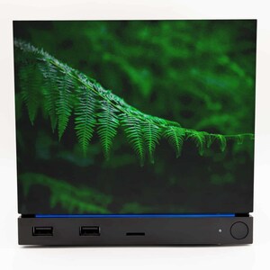 Painel frontal em formato de folha de samambaia para máquina a vapor 2026, painel fotográfico magnético impresso em 3D com motivos da natureza. imagem 2