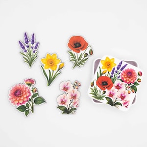 Flower Magnet Set, Wood Fridge Magnets with Botanical Print, Floral Kitchen Decor, Small Gift, Handmade in Belgium image 1