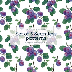 May include: A repeating pattern of purple plums on brown branches with green leaves against a white background. The text reads: High resolution 3500 x 3500 px, Set of 5 Seamless patterns, Murmariika studio | Ripe Plum. The design features fruit.