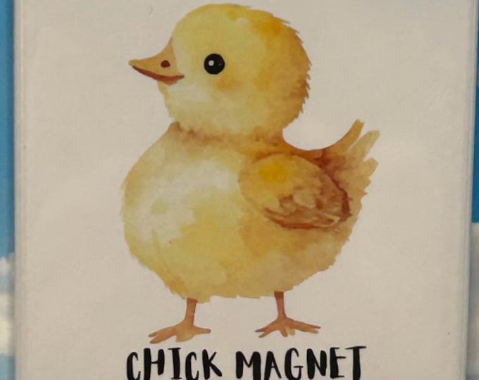 Cute Chick Magnet