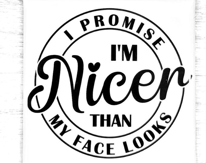 Funny Magnet "I Promise I'm Nicer Than My Face Looks"