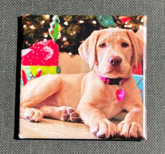 Custom Photo Magnets