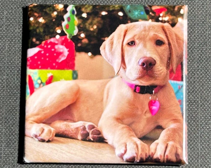 Custom Photo Magnets