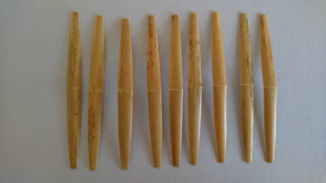 Professional Oboe Cane Gouged and Shaped Bundle of 10 Etsy
