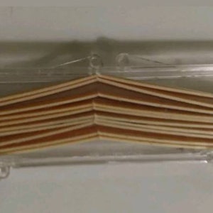 May include: A clear plastic case containing a stack of thin, wooden toothpicks.