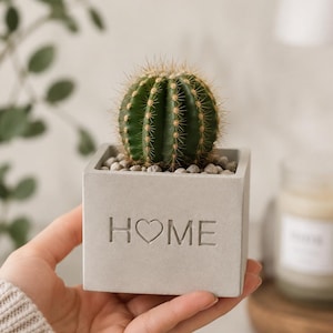 Concrete Organizer | Mini Planter | Coffee Station Organizer | Tea Bag Holder | Match Holder | Succulent Pot | Handmade Home Decor