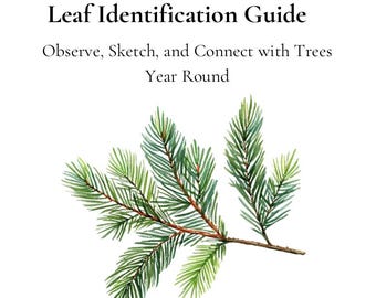 Waldorf Leaf Identification Guide for Children | Nature Study Printable | Montessori Nature Learning