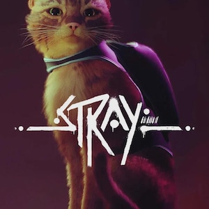 Könnte beinhalten: Eine orangefarbene getigerte Katze mit heller Brust und Schnurrhaaren, die ein dunkelviolettes Geschirr mit hellblauem Rand trägt. Das Wort STRAY ist in einer stilisierten weißen Schrift in der Bildmitte zu sehen, mit einer Graffiti-Optik.