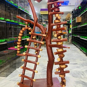 Op de afbeelding: Een houten vogelzitstok en speelstandaard met meerdere niveaus, ladders en takken. De standaard is gemaakt van natuurlijk hout en heeft een bruine afwerking. Het is ontworpen om een stimulerende omgeving te bieden voor huisvogels. De standaard staat op een rolvoet.