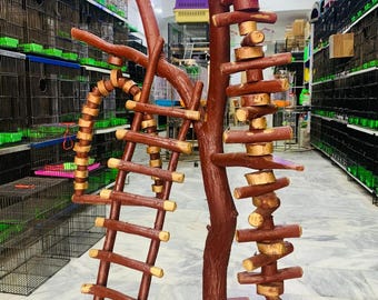 Gimnasio de madera para loros con escaleras, columpios, comederos y centro de actividades para aves.