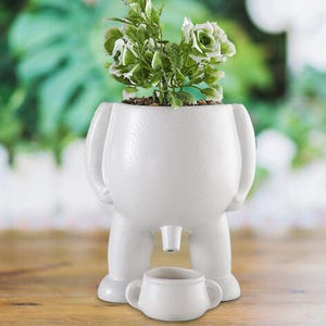 Pode incluir: Um vaso de cerâmica branco e caprichoso em forma de figura, com uma pequena xícara combinando. O vaso contém uma pequena planta com folhas e flores verdes e brancas. O vaso tem um design único, perfeito para adicionar um toque de diversão.