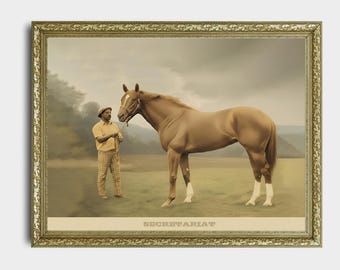 サンデーサイレンス 1989 ケンタッキーダービー写真 パット