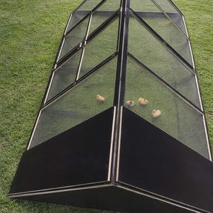 May include: A black and metal outdoor enclosure with a mesh top and sides, set on a grassy lawn. The enclosure has a triangular shape and contains several small, light-colored chicks.