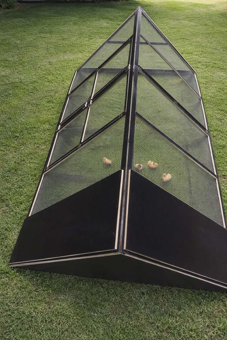 May include: A black and metal outdoor enclosure with a mesh top and sides, set on a grassy lawn. The enclosure has a triangular shape and contains several small, light-colored chicks.