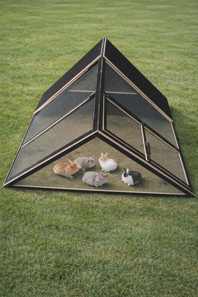 Triangle Rabbiy Large Outdoor Animal Run | Waterproof Plywood Aviary With Mesh | Rabbit ...