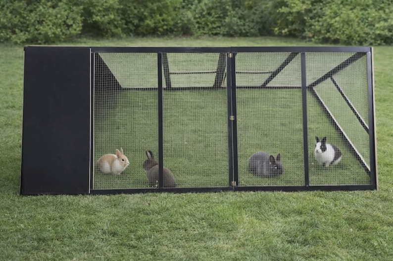 May include: A black and wire mesh rabbit hutch with four rabbits inside, set on a grassy lawn. The rabbits are various colors, including brown, gray, and black and white. The hutch has a solid black side and double doors.