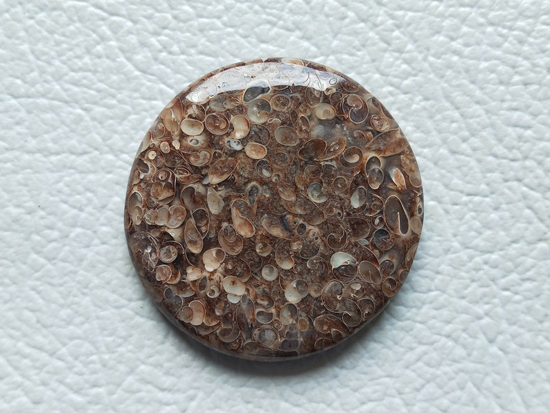 Size 35X35X5 MM 100/%Natural Turtella Genuine Turtella Jasper Cabochon Pendant Jewellery Cabochon Wholesale Gemstone Top Quality !!