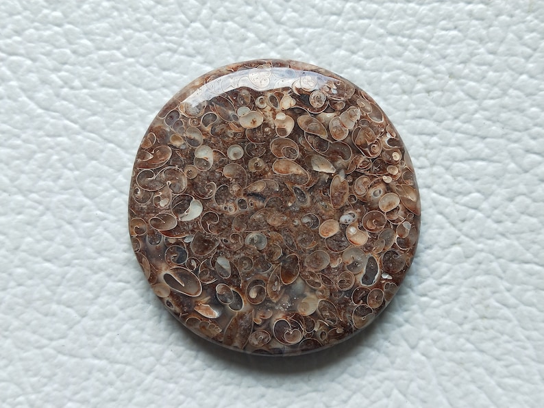 Size 35X35X5 MM 100/%Natural Turtella Genuine Turtella Jasper Cabochon Pendant Jewellery Cabochon Wholesale Gemstone Top Quality !!